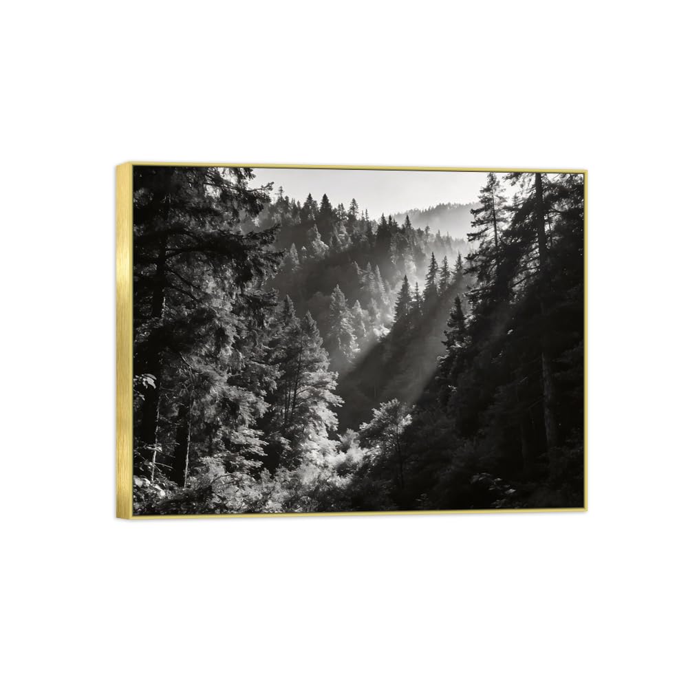 Forest Tree 11 Black White Landscape Canvas Picture 70x90cm Gold Frame