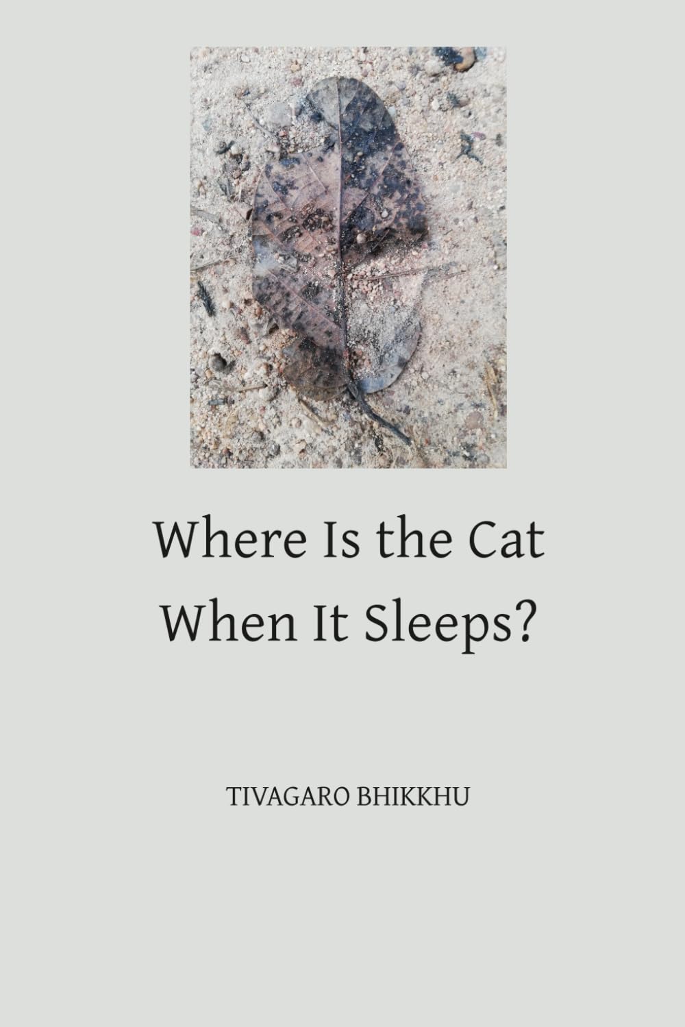 Where Is the Cat When It Sleeps?