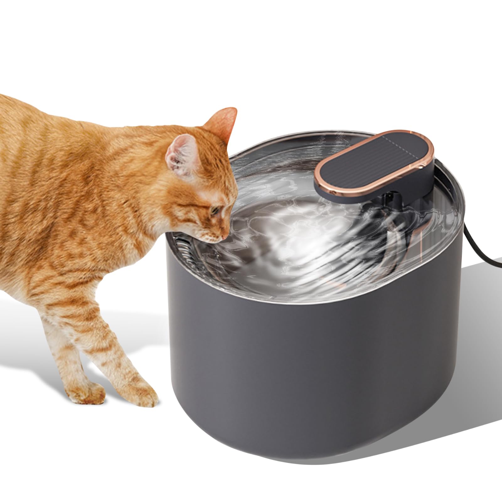 MagonanlyPet Water Dispenser, Automatic Pet Waterer with Quiet Pump and LED Light, 102oz/3L Large Capacity Smart Cat Water Fountain for Small Cats and Dogs, Black