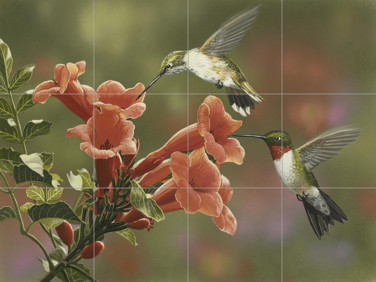 Ceramic Backsplash Tile Mural Hummingbird Kitchen/Bathroom