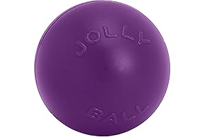 Jolly Pets Collie Ball Herding Ball for Active Dogs