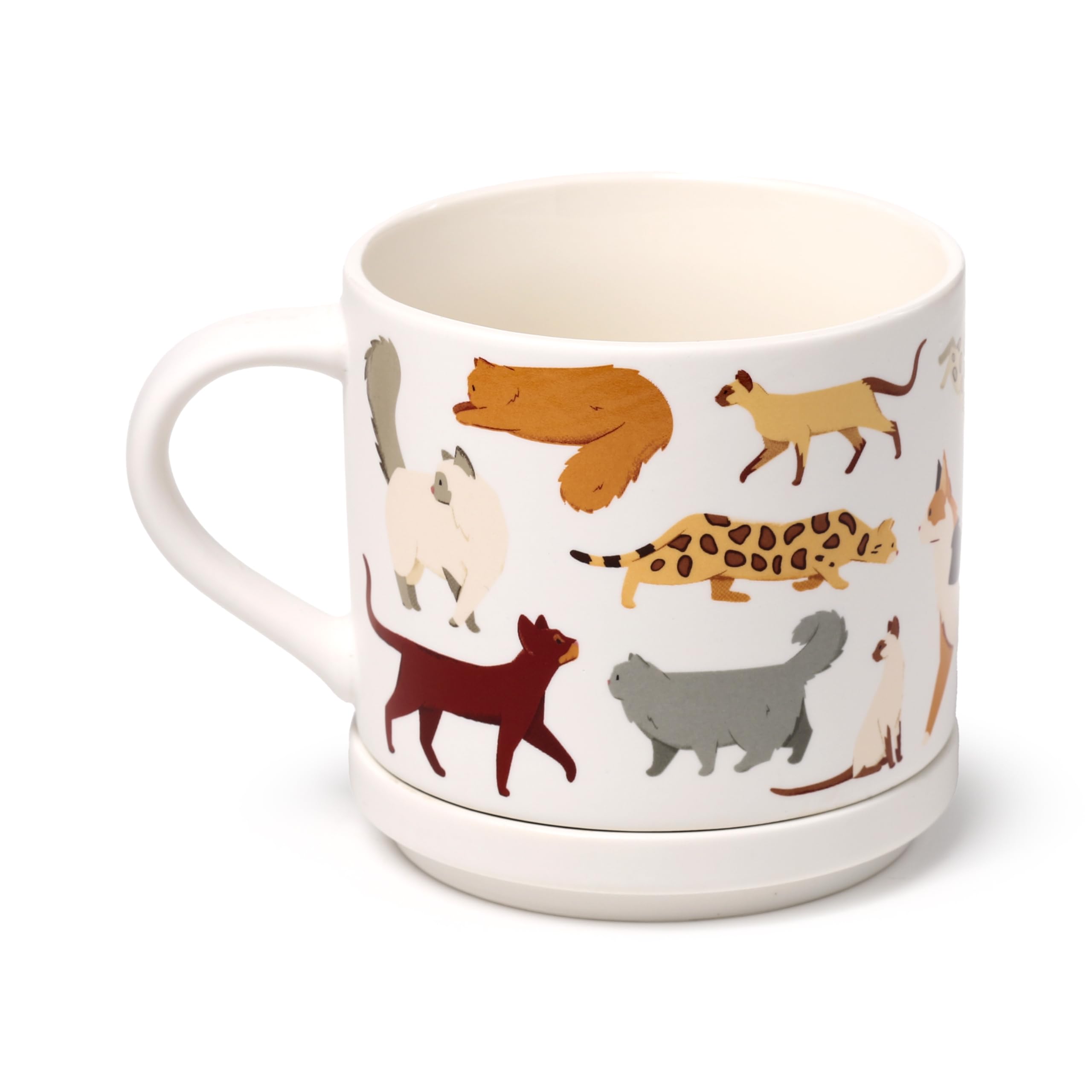 Puckator Set Tasse aus Porzellan und Untersetzer/Deckel 2 in 1 – Katzen Feline Fine – Groß