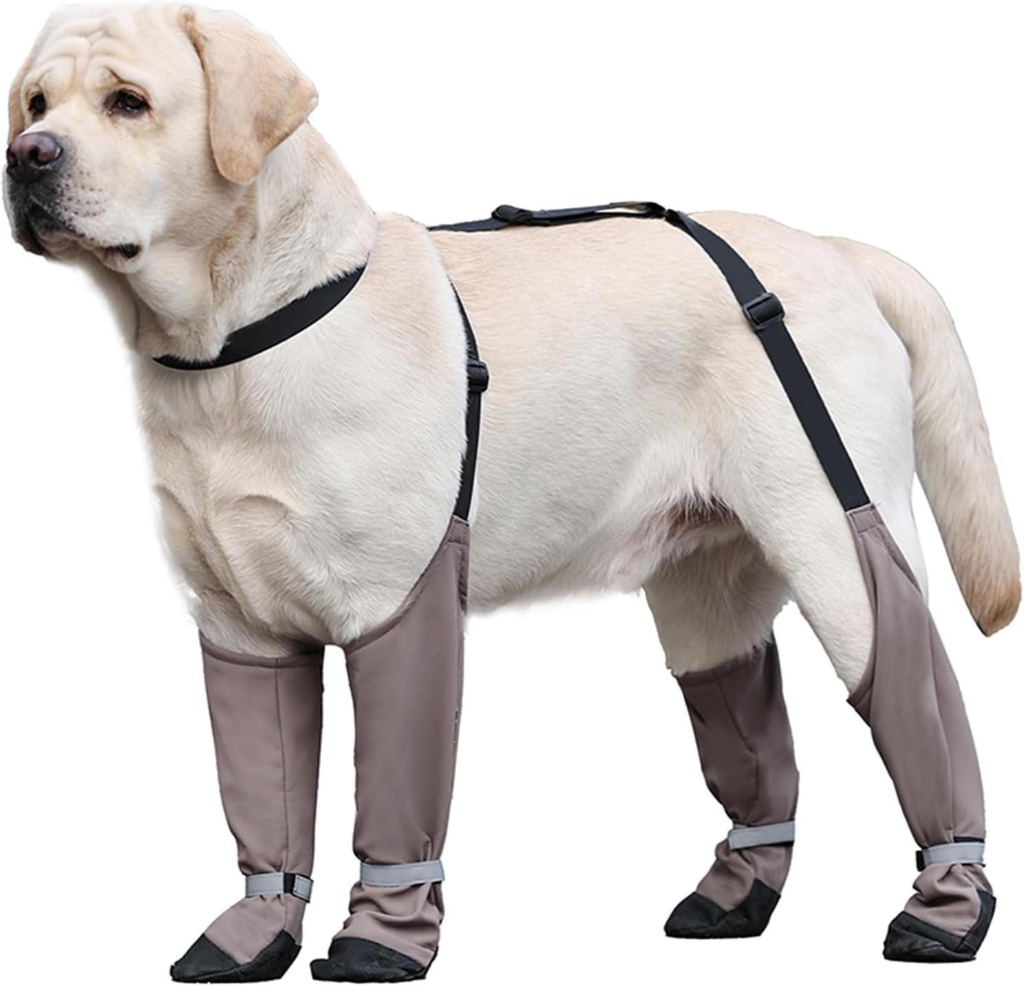 MeiAOBest Dog Boot, XL, Waterproof, Anti-Slip, Paw Protector, Walking, Hiking, Traveling, Camping, Cold & Wet Weather Protection, Injury Recovery, Fabric, Strap MeiAOBest Dog Boot, XL, Waterproof, Anti-Slip, Paw Protector, Walking, Hiking, Traveling, Camping, Cold & Wet Weather Protection, Injury Recovery, Fabric, Strap