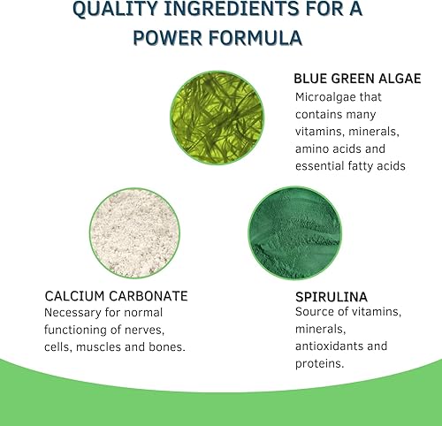 Miniatura 5 de Bioxtron Natural AFA Suplemento de células madre 60 cápsulas  1 té bioxtrón