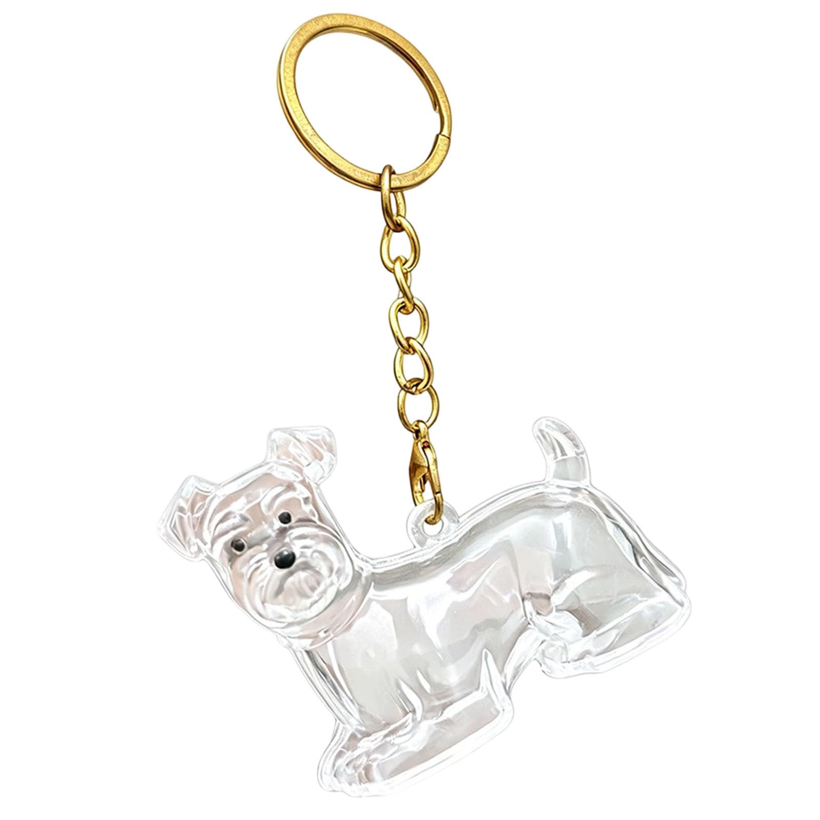 Memorial Dog Keyring, Dog Fur Keepsake, Transparent Cute Dog Hair Keepsakes, Abs Material Pet Hair Keyrings for Pet Owners, Dogs Lovers to Preserve Cherished Memories (D)