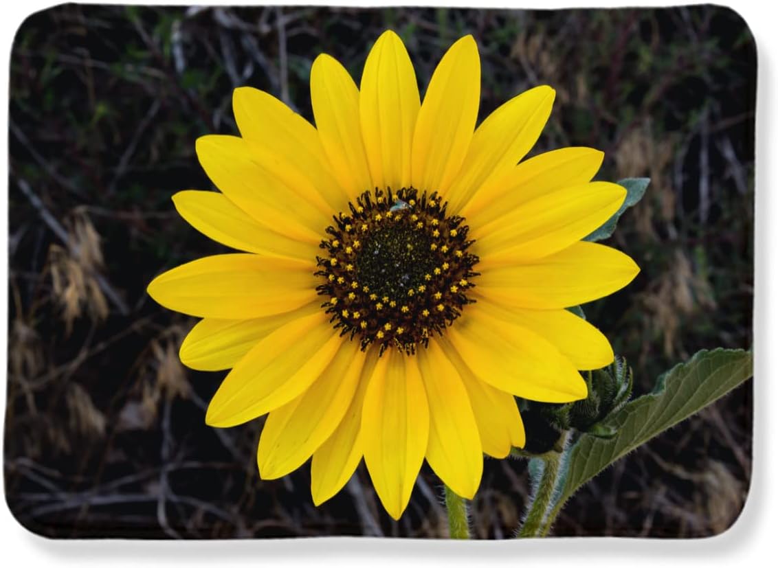 SOFERI Sunflower Rug Children Teen Bedroom Rug Flower Rug Beautiful Living Room Bathroom Kitchen Large Area Rug Non-Slip Floor Mat Sunflower 16 "x24