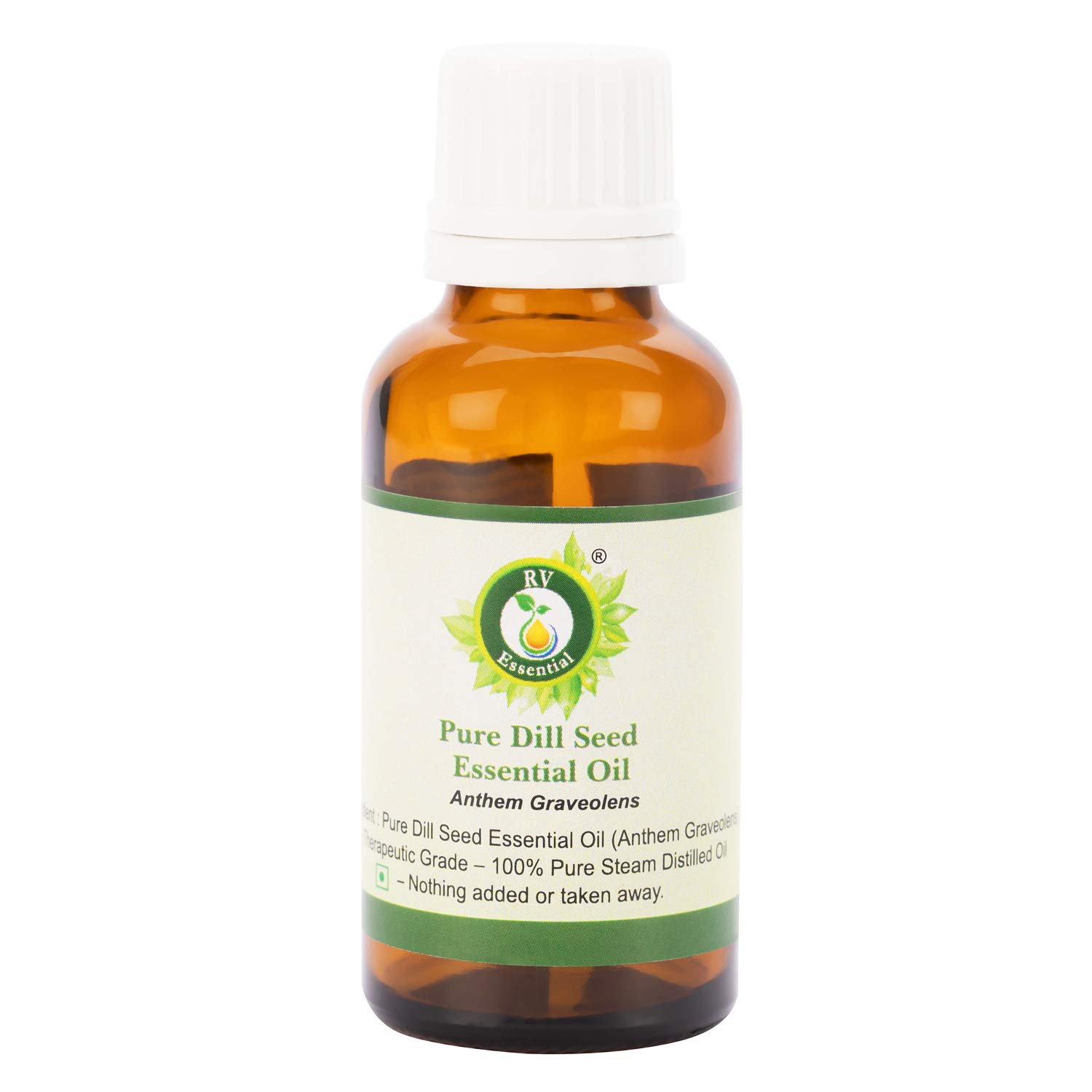 R V EssentialPure Dill Seed Essential Oil 50ml (1.69oz)- Anthem Graveolens (100% Pure and Natural Steam Distilled)