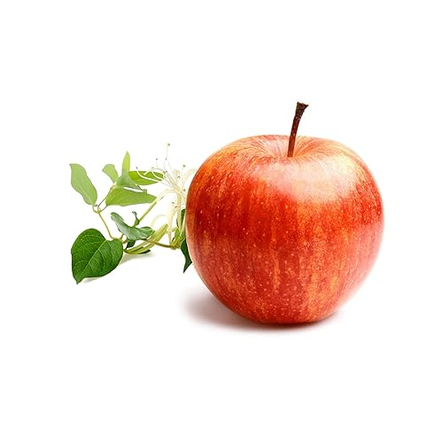 Miniatura 3 de Derek Lam 10 Crosby - Drunk On Youth - Eau De Parfum de 0.12 Oz - Perfume de barra sólida para mujer - Aroma afrutado y floral - Acuerdos de manzana