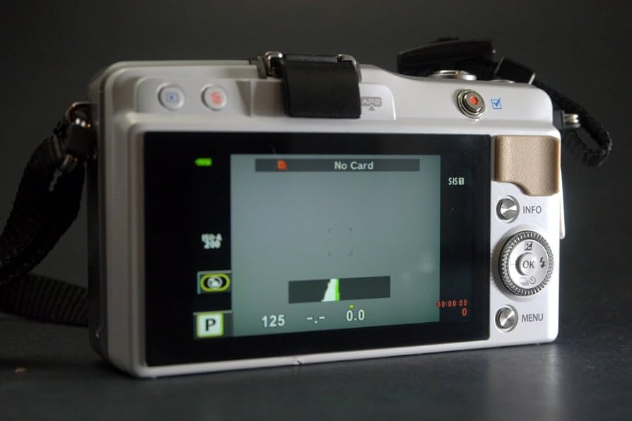 Amazon Canada: Olympus E-PM2 Interchangeable Lens Digital