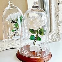 Amazon｜美女と野獣 バラ 天然ダイヤ付き ガラスドーム 真実の愛の