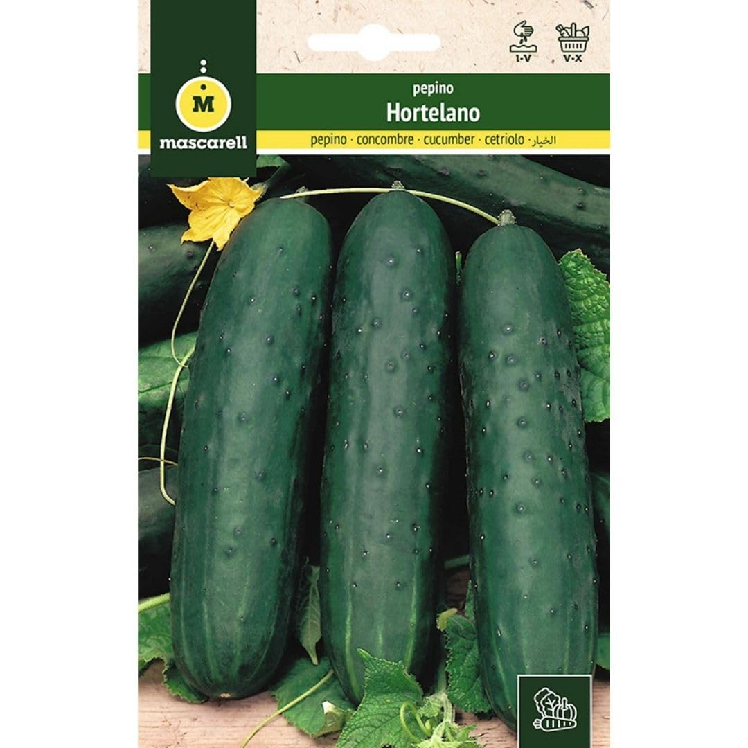 Mascarell Semillas, PEPINO, Semillas Huerto, PEPINO HORTELANO, Crea tu Propio Huerto Urbano y Cultivo en Casa, Plantas Hortícolas, 5 Gramos