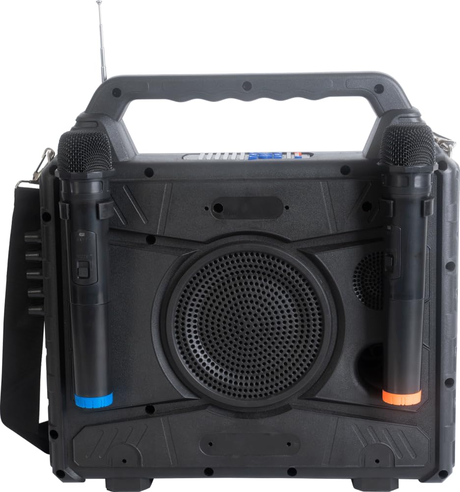 Ibiza KARAVISION Przenośny głośnik Karaoke z ekranem i 2x VHF Mics