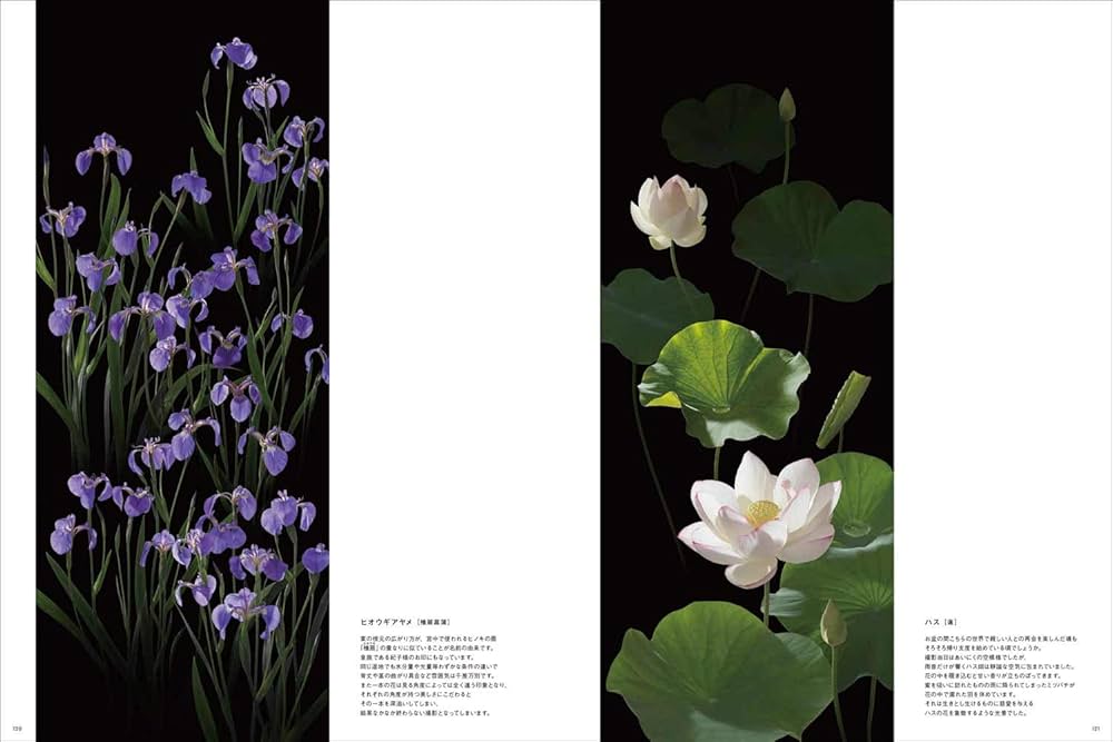 花 fuku Fukushima Flowers 福島の花 | 野口勝宏, 野口勝宏 |本 | 通販 | Amazon