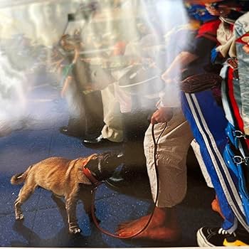 Amazon.co.jp: B'zポスター2枚セット 「treasure」 : おもちゃ