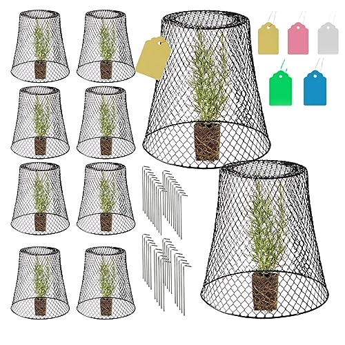 COSTYLE 10 Pieces Chicken Wire Cloches Plant Cover, Sturdy Garden Wire Cloche Plant Protector, Metal Protective Cage for Garden Plants, Vegetables, Strawberries and Seedlings,Black (9.25×9inch)