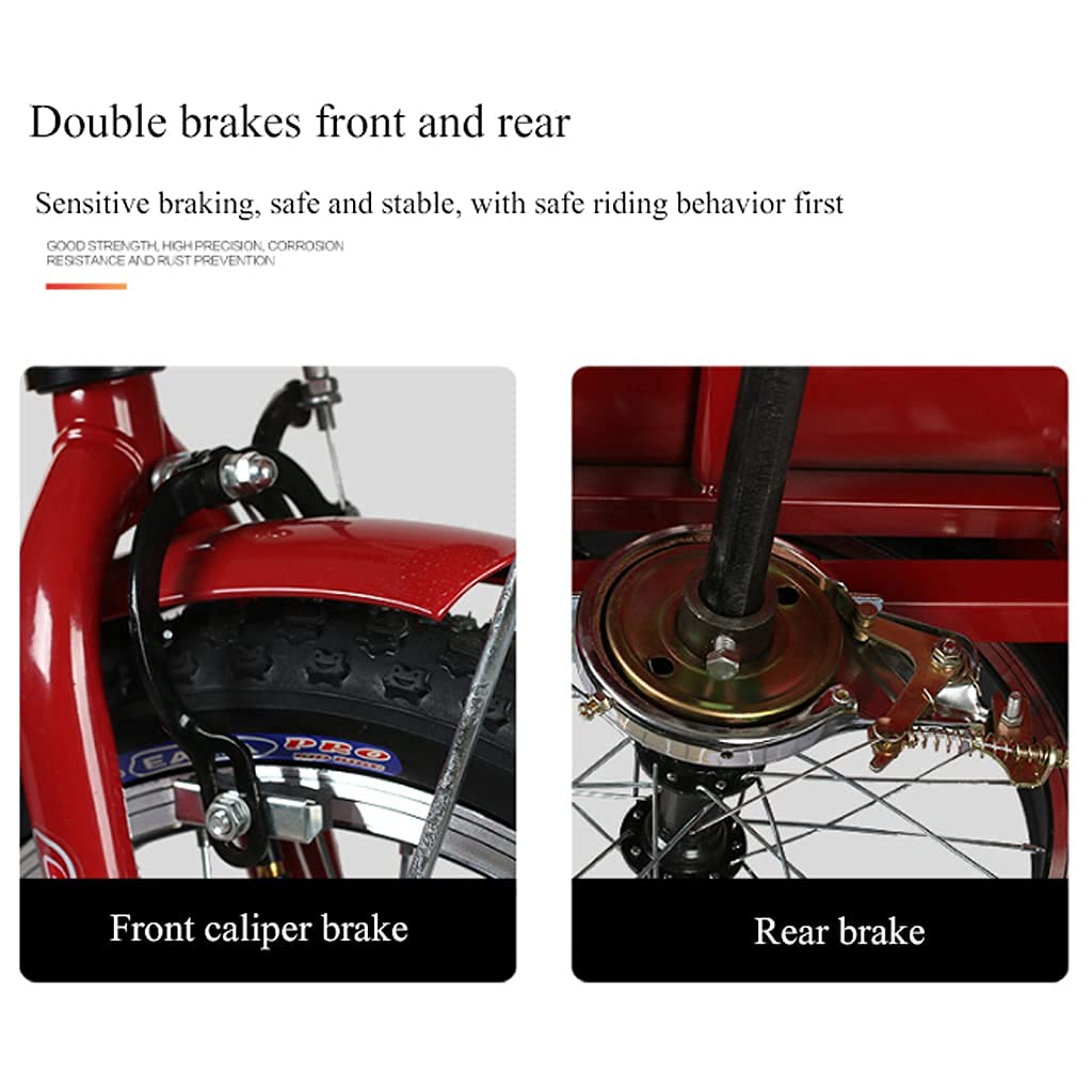 Amazon.co.jp: 16インチシングルスピード自転車2人乗り大人用三輪車