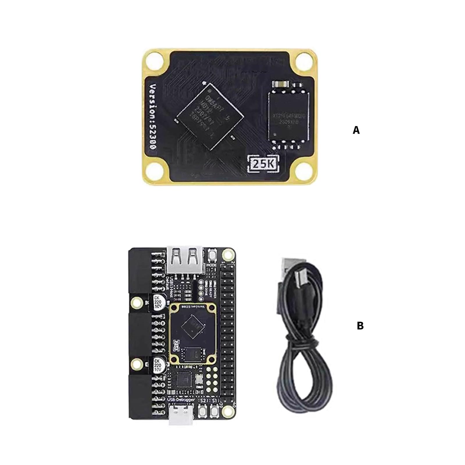 Carte de développement 25K RISCV FPGA PMOD SDRAM GW5A-LV25MG121 Développement 64 Mbit SPI clignotant Maison unique