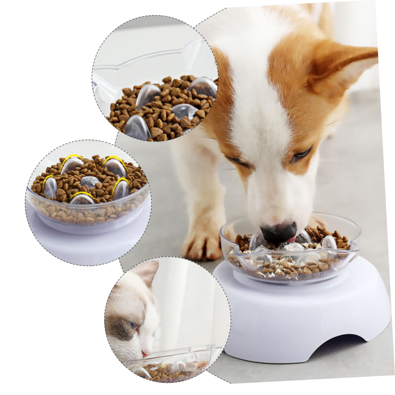 Mikikit Pet Neck Protection Bowl Transparent Cat Tilted Feeding Bowl Design Easy to Clean Non Slip Base for Cats and Pets
