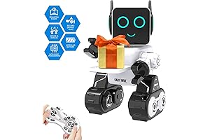 My Robot: An Interactive Companion for Kids