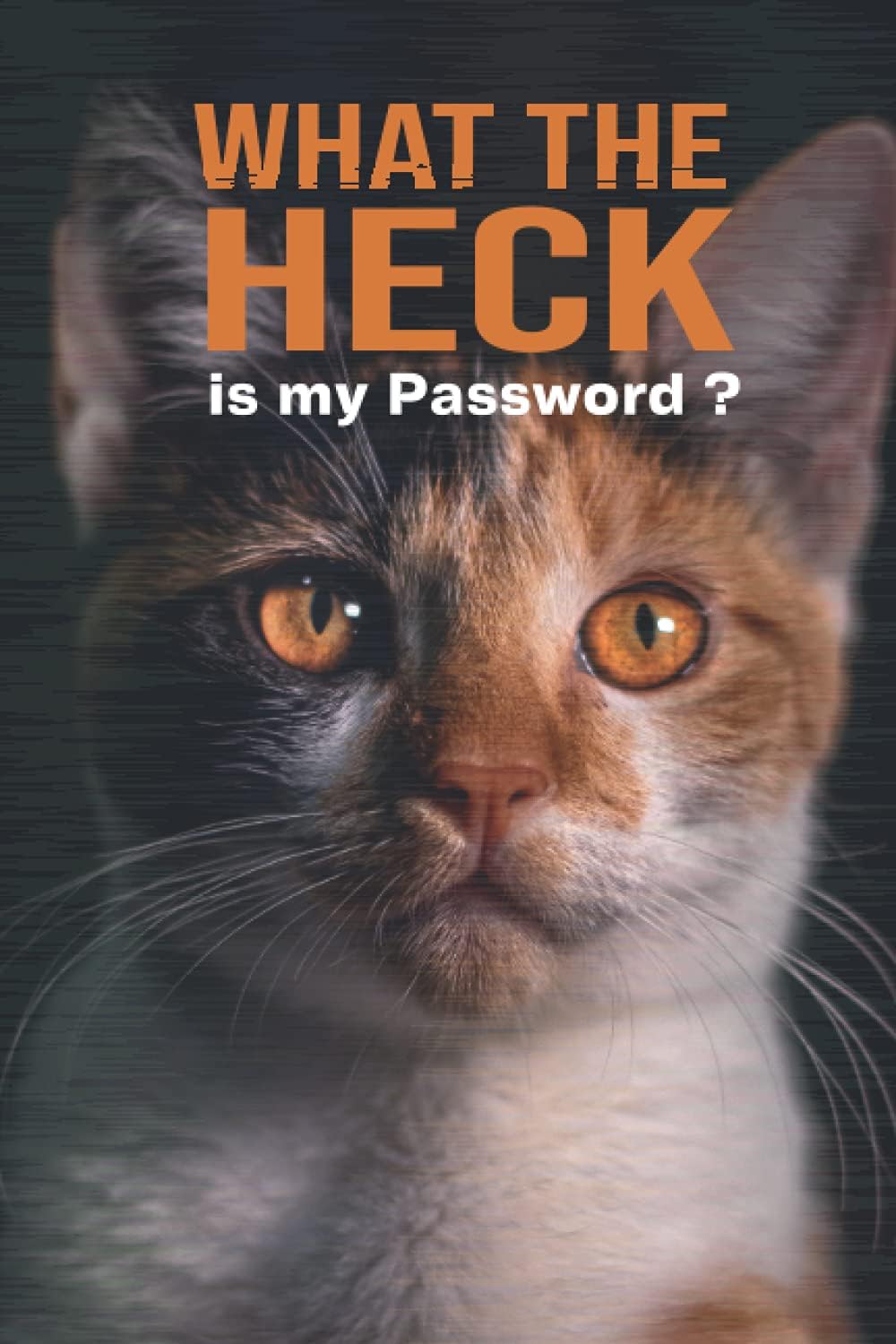 What the Heck is my Password?: Internet Password Logbook, Password Book with Alphabetical Tabs ,110 Pages , 6x9 : American Wirehair cat (Password log books)