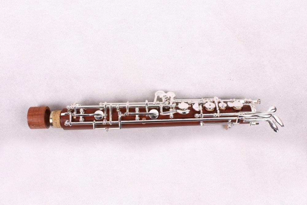 Strumento Oboe Bellissimo Suono di Oboe C Key Body Rosewood Left F Resonance F Professional Alta qualità Principiante di Oboe