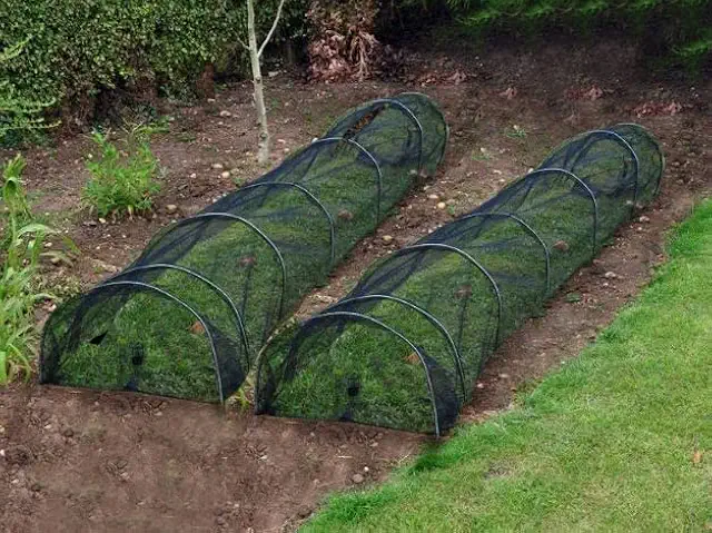 DIVCHI 2-Pack Garden Net Grow Tunnel - Crop Cage Protection