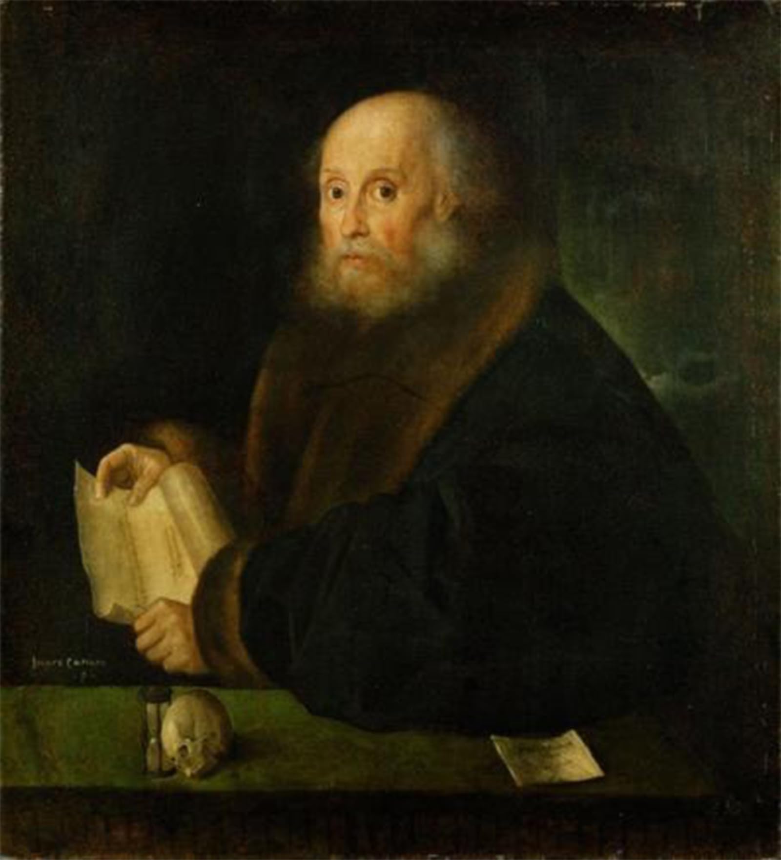 Portrait d'un patricien de Nuremberg Cariani tableau habillage grand mur - 5