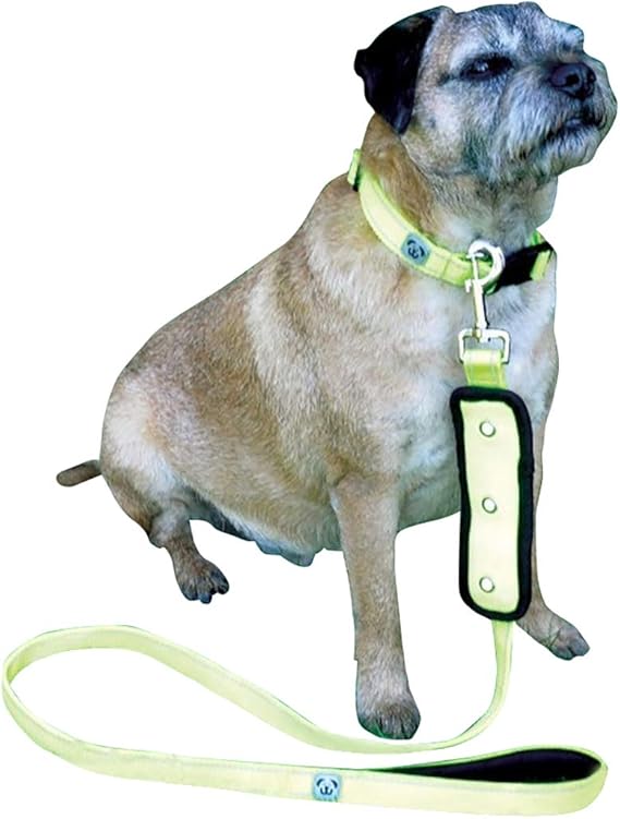 leash light
