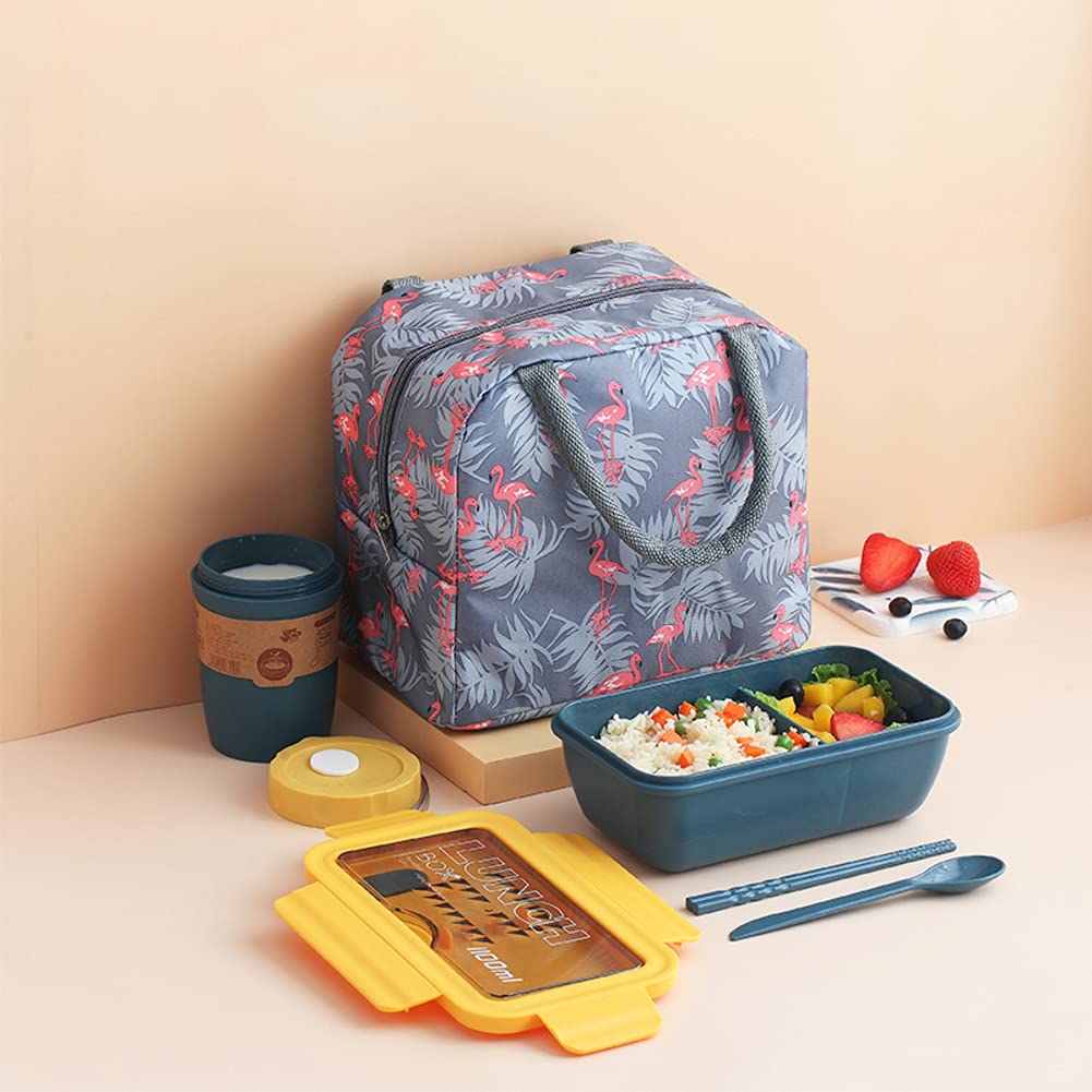 PORTABLE Bento Box,Microwave Freezer Dishwasher Boxesfor Kids Adults Work School,Eco Friendly 2compartment Sustainable Healthy Lunch Box-A