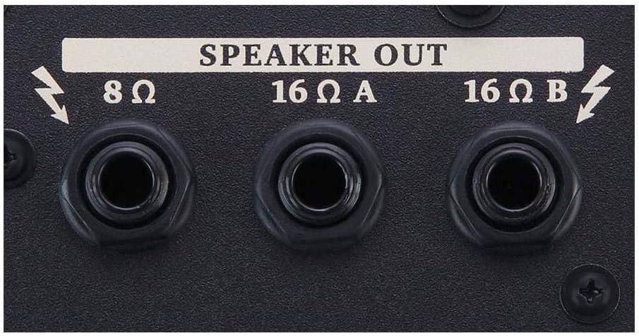 Close-up of the BOSS Nextone Stage speaker output jacks.