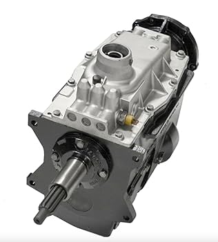 シュリンプG アフリカンジャイアントロックシュリンプ（アフリカ産）｜エビ