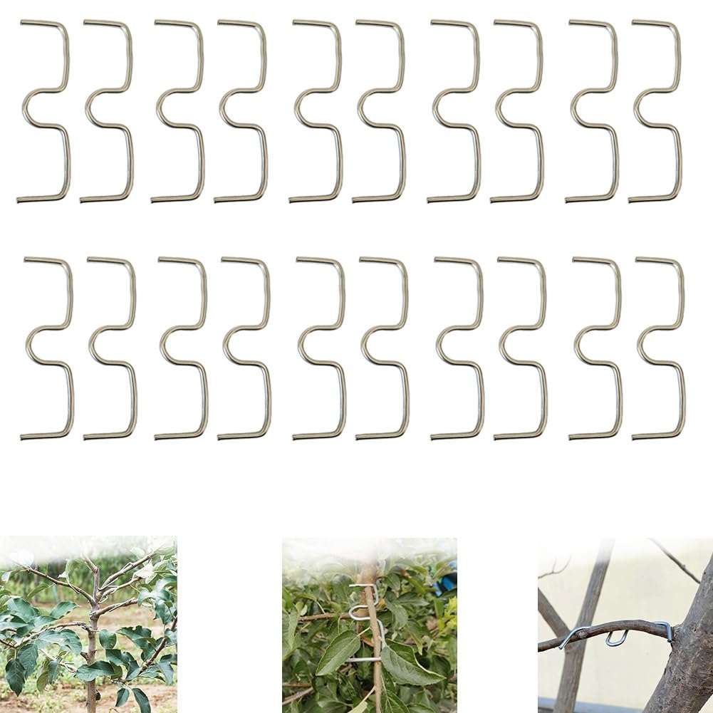 Seymal One Color 20 Pcs Fruit Tree Branch Puller, Metal Plant Branch Pullers, M Shaped Bonsai Branch Support Bender, Branches Bending Fixing Tool For Fruit Trees Plants Cherries