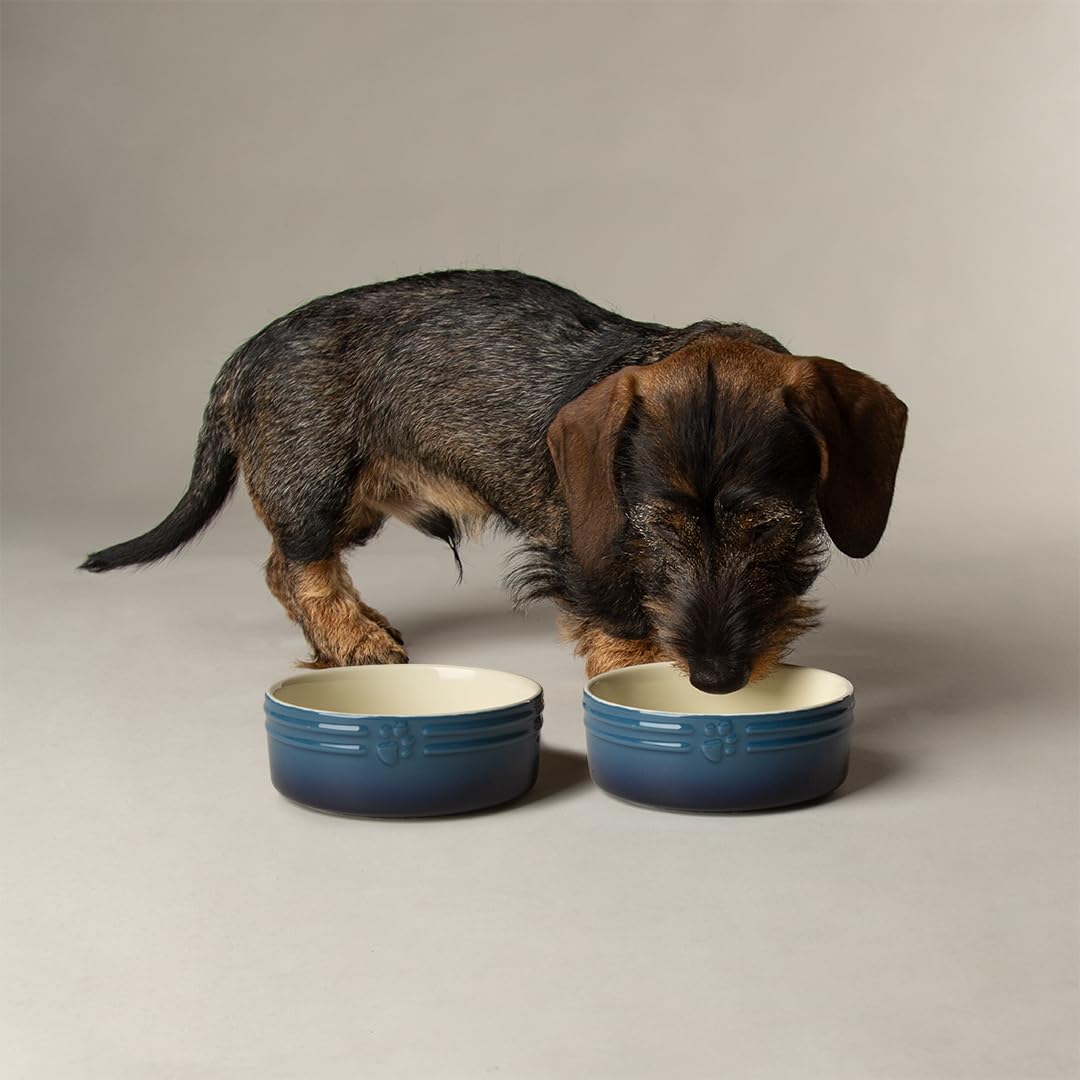 Scruffs Ombre 2pc Ceramic Dog/Pet Bowl Set - Blue 13cm โ image 1