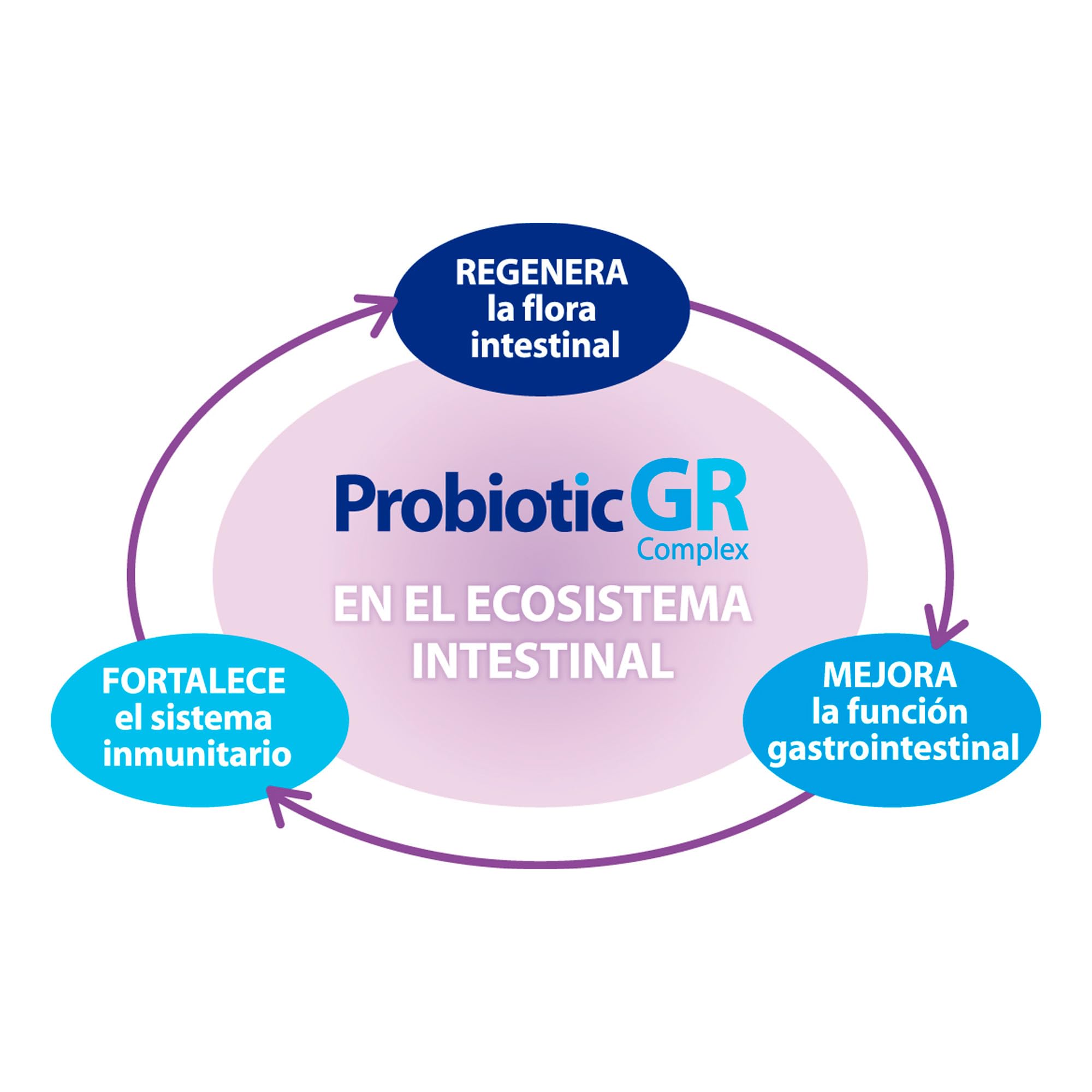 SAKAI PROBIOTIC GR complex 30cap. – complément alimentaire sous forme de comprimés, se prend chaque jour conformément aux indications, boîte de 30 gélules et associe fonctionnalité pratique et sensati