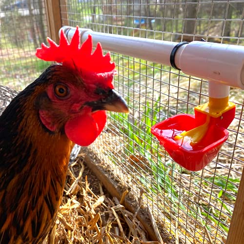 4 Pack No Peck Poultry Waterer Drinking Cup With 1/2" Pvc Tee Poultry Watering System For Chicken Ducks Quail #TOP2