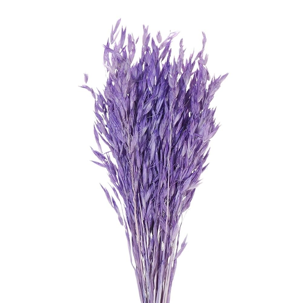 Sztuczna trawa Pampas, Trawa Pampasowa Suszone Kwiaty Wielokolorowe 40-55cm 25/50 szt(Purple-25pcs)