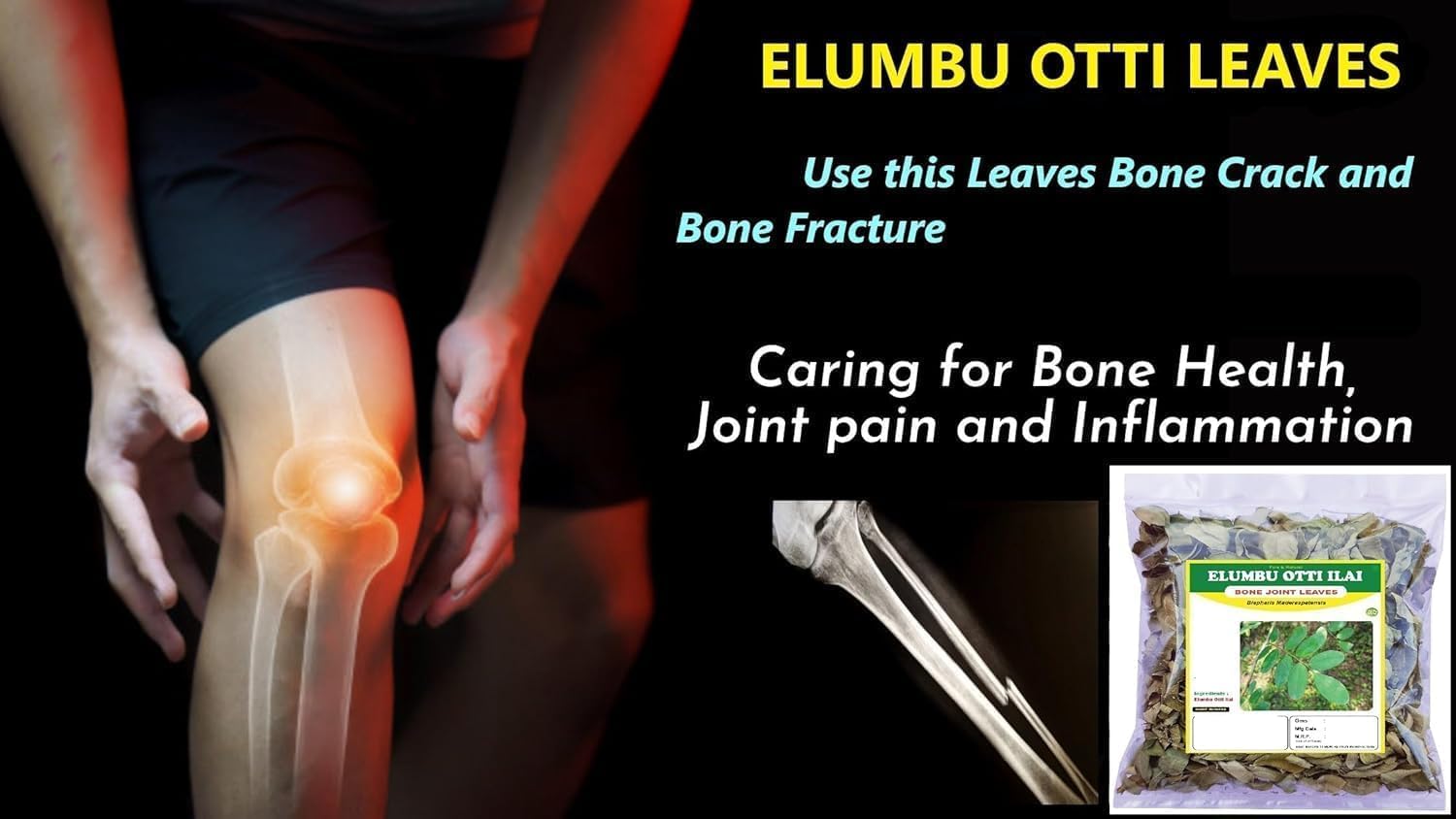 Organic Dry Elumbotti ilai (Leaves) 100g | Bone joint Leaves | Murikootipacha