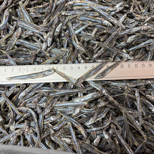 c ܂ TOO RY Y TCY 퉷 тȂ킵 sHʎs