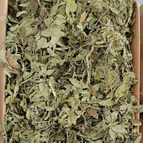 Hojas de Menta Secas Naturales Premium 100g Bolsa Resellable miniatura 6