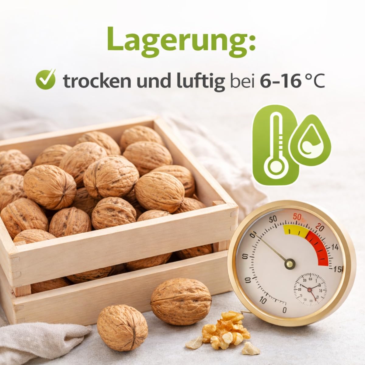 Französische Walnüsse (Grenobler), 2,5kg, Dicke Sortierung 32/+, unbehandelt, intensiv aromatisch, helle Innenfrucht, frische Ware aus neuester Ernte