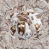 Platten [Explicit]