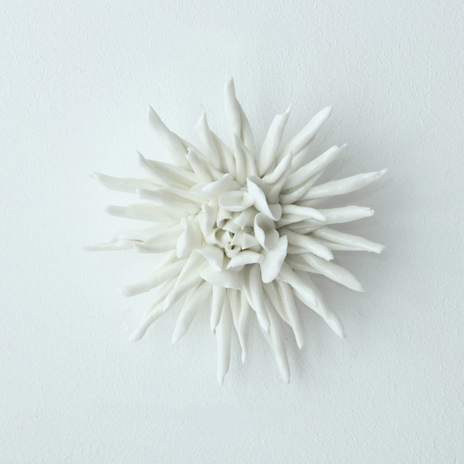 KJOLWHCQ Elegant Handcrafted Ceramic White Epiphyllum Flower Sculpture 3D Wall Art Hanging Flowers Decor Home Office Wedding Gift