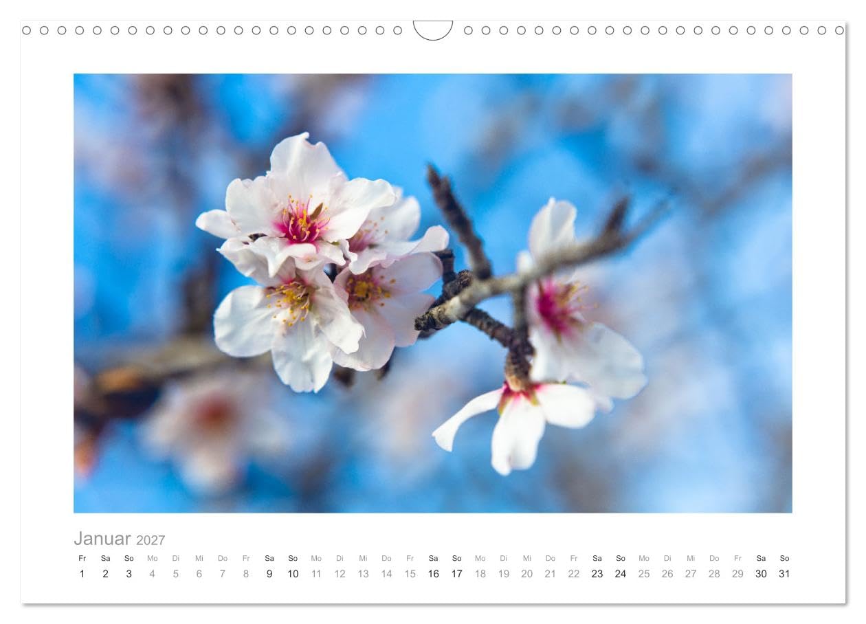 CALVENDO - Mallorca - Natur pur (Wandkalender 2027 DIN A3 quer), Monatskalender: Mallorca's unglaublich schöne Natur im Detail
