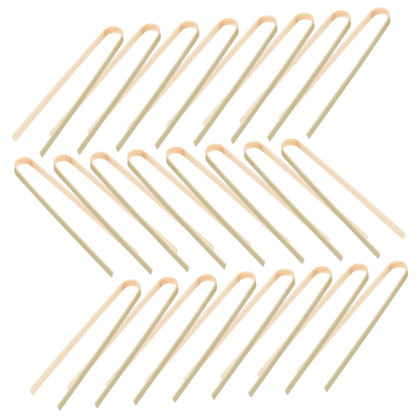 Lot De 10 Pinces De Transplantation Pour Cactus Accessoires D'entretien De Plantation