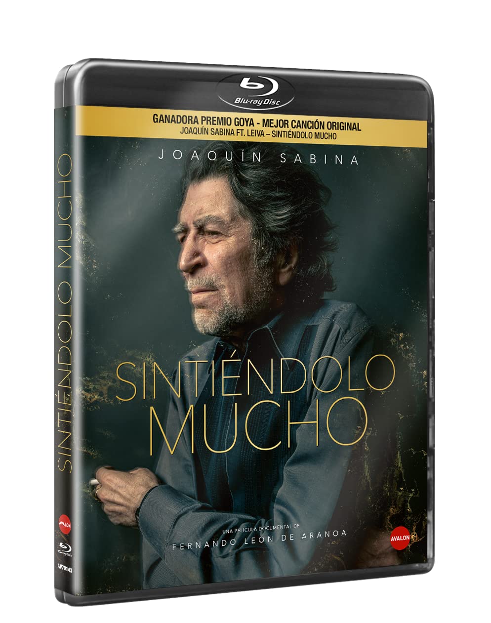 Sintiendolo Mucho - Joaquín Sabina,
