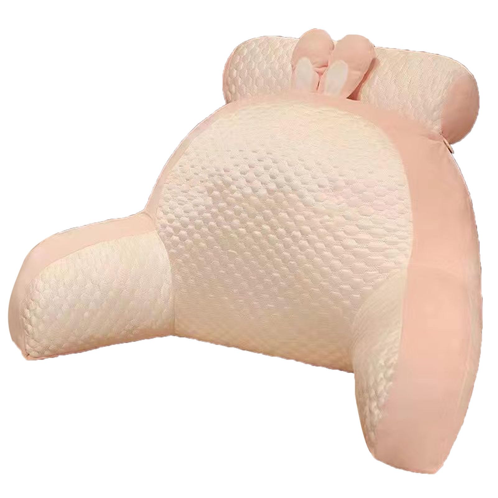 Coussin de canapé Pilipane en Peluche Douce, Confort Haut de Gamme