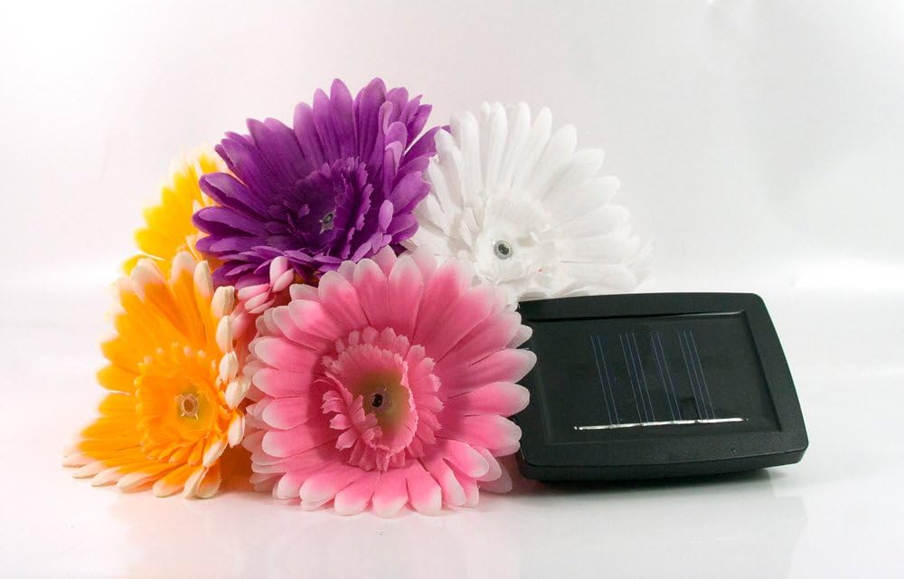 SolarCentre Daisy Solar String White LED Lights - 5M string with 12 colourful flowers