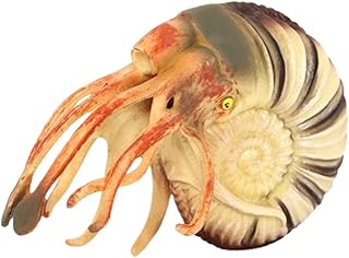 ZUER Starożytne morskie zwierzę figurka zabawka, ocean zwierzę Nautilus zabawka dla dzieci edukacja, małe prehistoryczne kambryjskie morze stworzenie figurki do dekoracji stołu