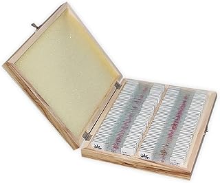 100 Pcs Prepared Microscope Slides, Normal Tissue Embryo Biological Specimens Microscope Section Set with Wooden Box Packing for Lab Biology and Science Study