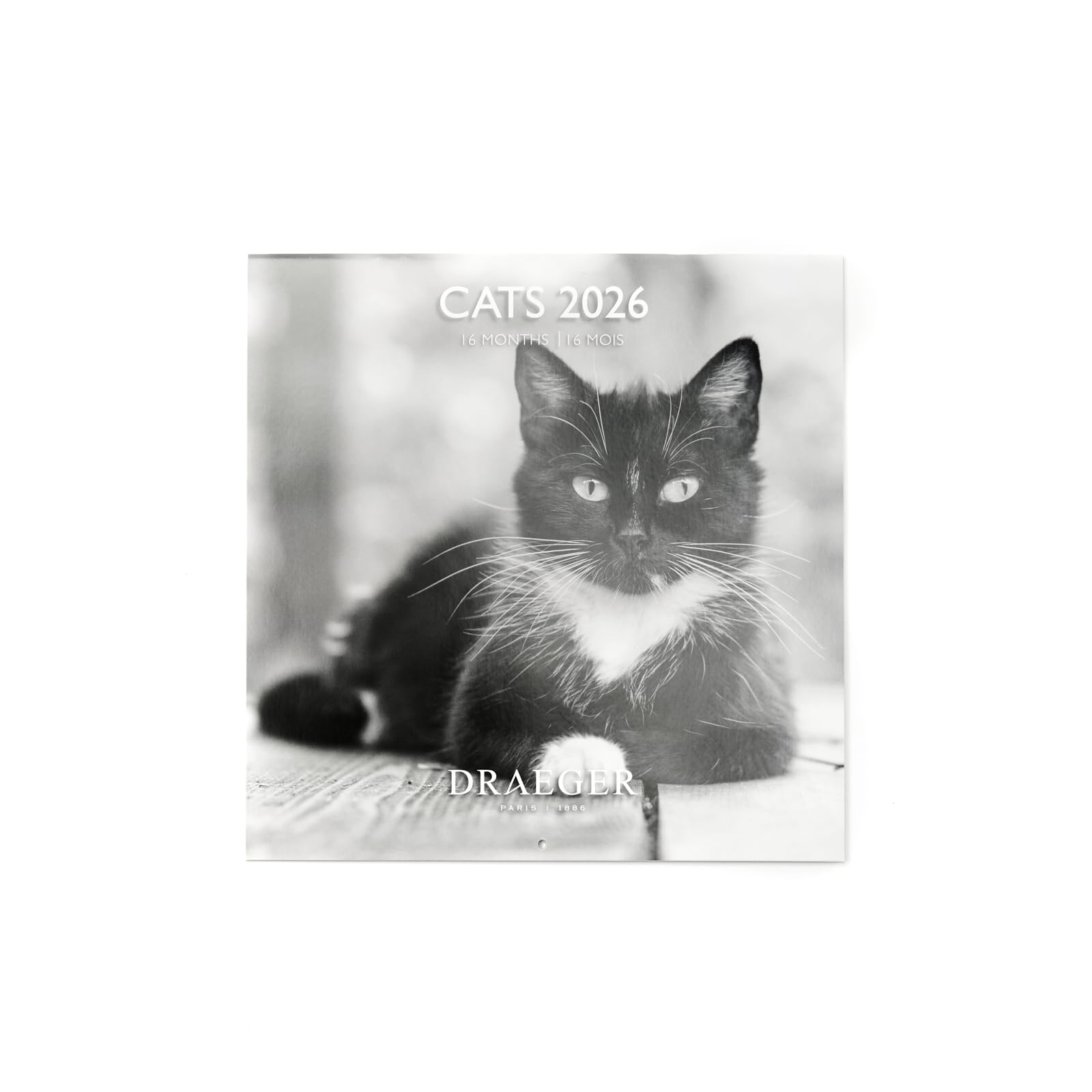 DRAEGER PARIS 1886 - Large Wall Calendar 28 x 29 cm 2026 - Black and White Cats Theme - 12 Months - FSC Paper - Detachable Illustrations